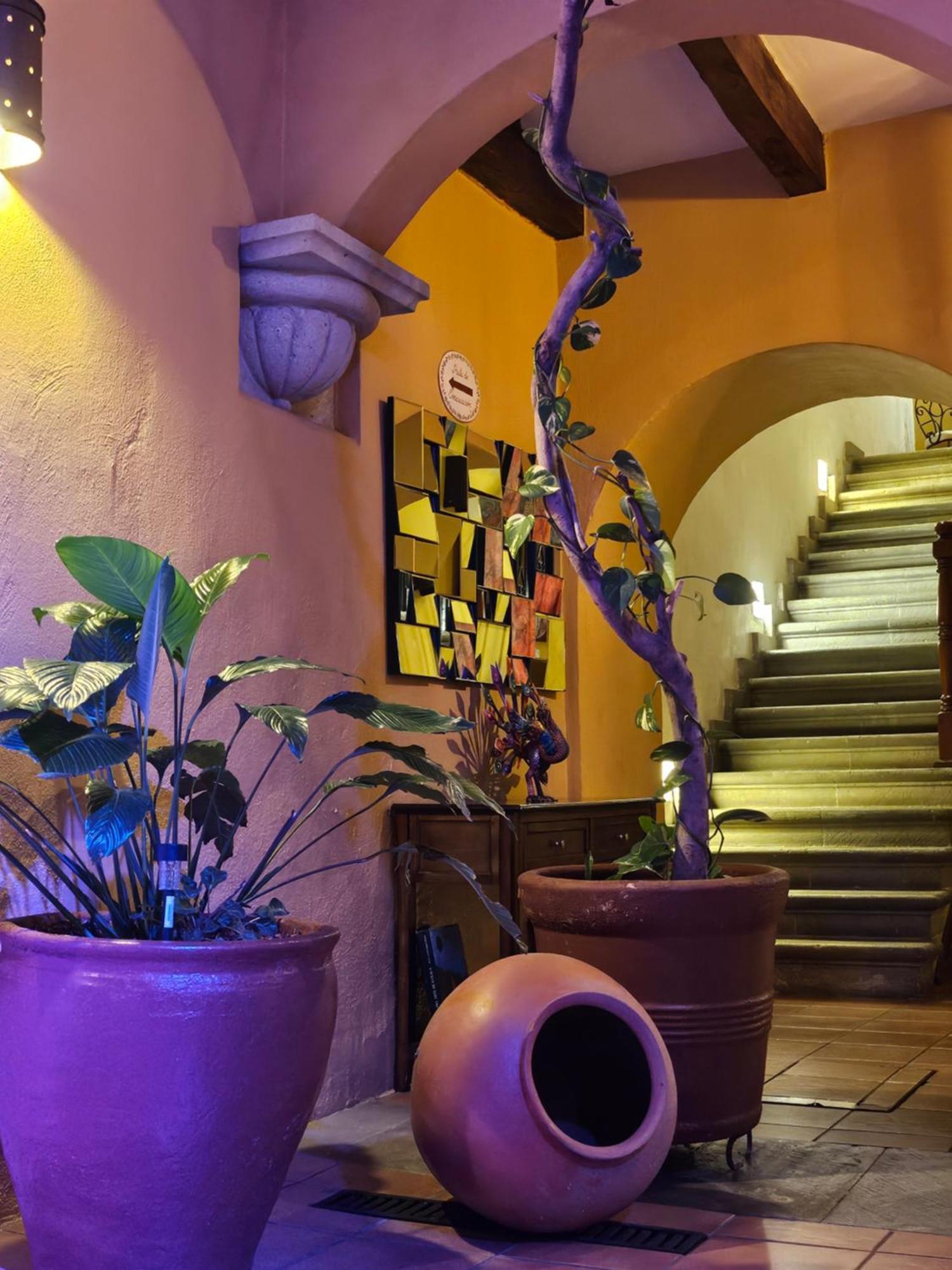 Hotel Casa Divina Oaxaca Exteriér fotografie